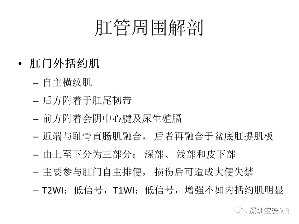 影像PPT - 【PPT】肛瘘MRI诊断-6