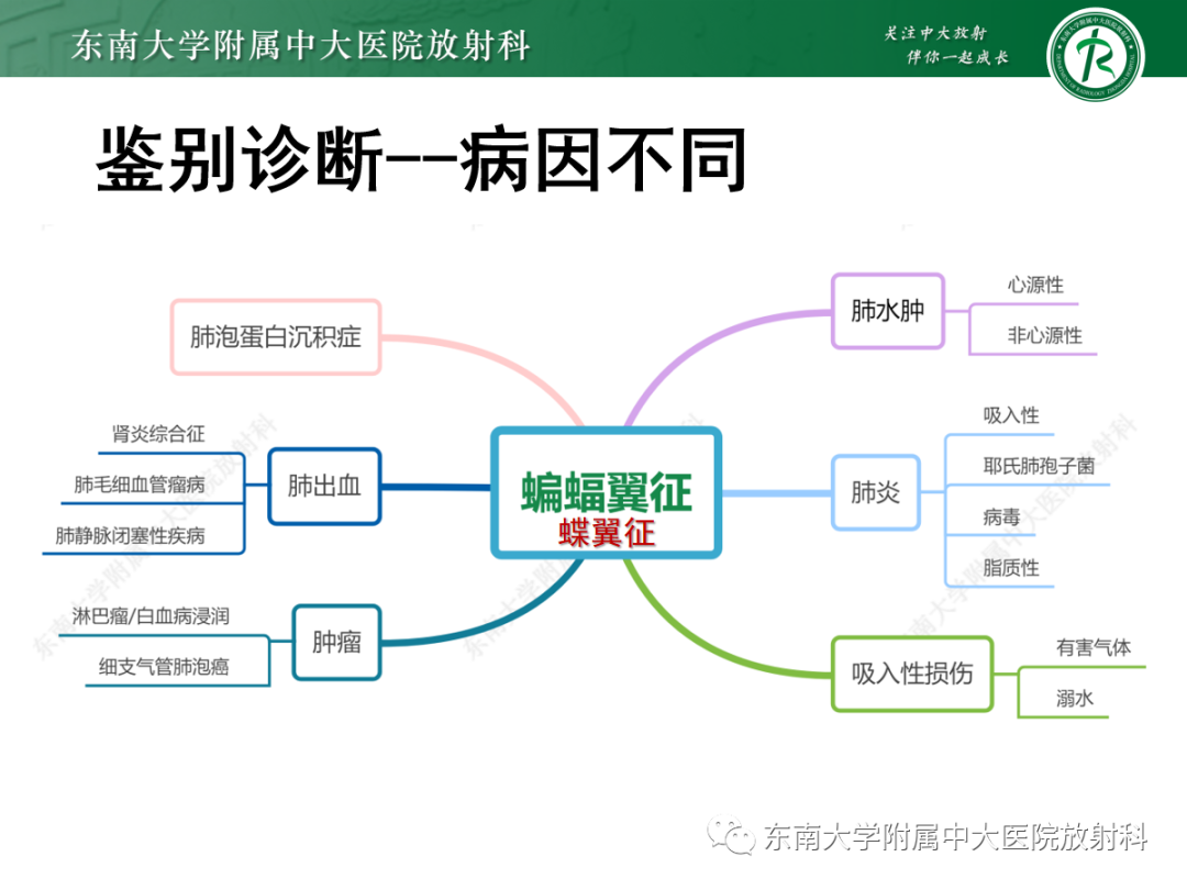 影像PPT - 【PPT】蝶翼征—耶氏肺孢子菌肺炎 VS 急性心源性肺水肿-12 影像PPT - 【PPT】蝶翼征—耶氏肺孢子菌肺炎 VS 急性心源性肺水肿-12