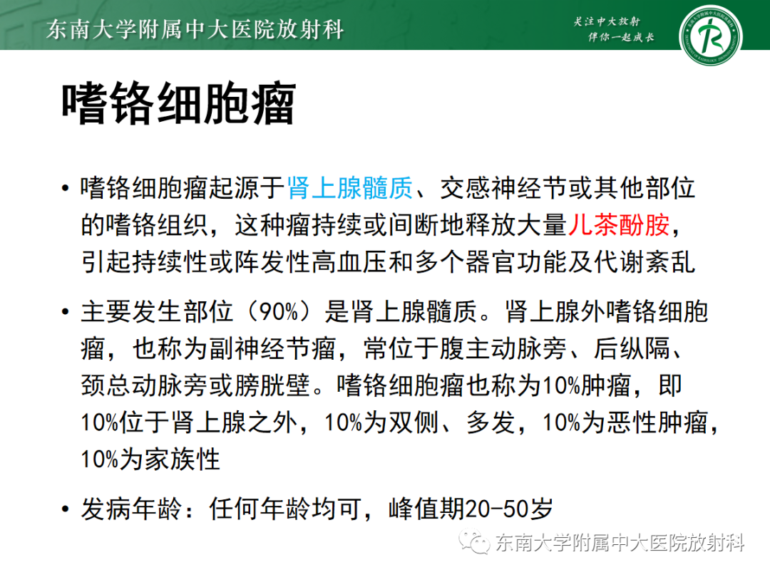 影像PPT - 【PPT】肾上腺占位性病变-8
