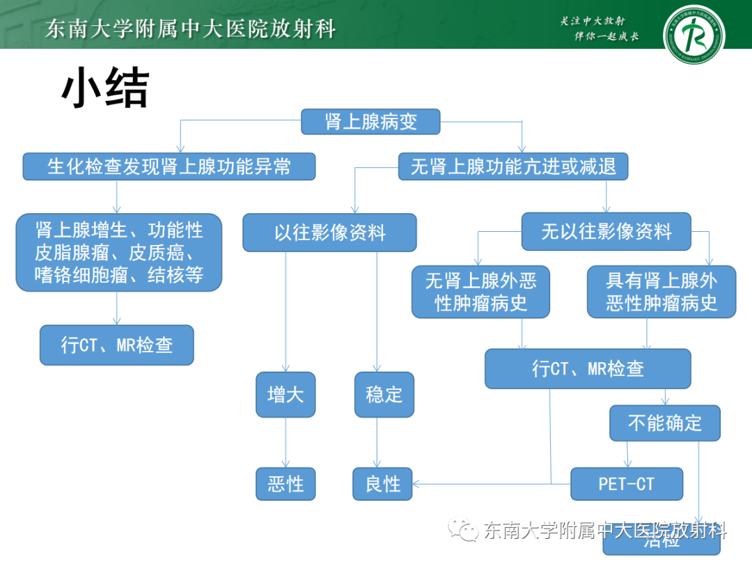影像PPT - 【PPT】肾上腺占位性病变-29