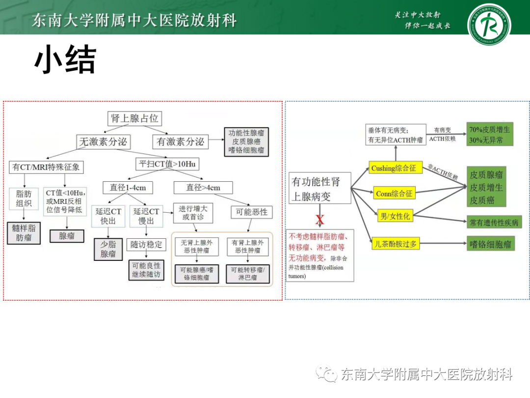 影像PPT - 【PPT】肾上腺占位性病变-30