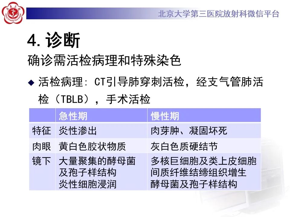 影像PPT - 【PPT】肺隐球菌病的影像-19