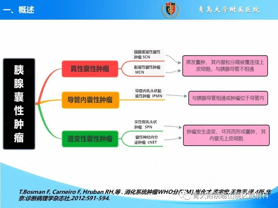 影像PPT - 【PPT】胰腺囊性肿瘤的影像诊断思路-4