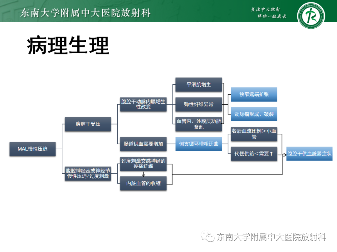 影像PPT - 【PPT】正中弓状韧带压迫综合征（ MALS ）-12