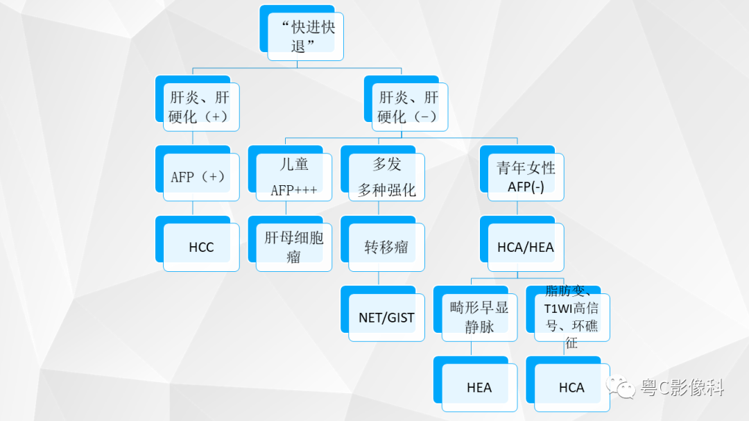 影像PPT - 【PPT】肝脏CT/MRI增强扫描“快进快退”的诊断思路-44