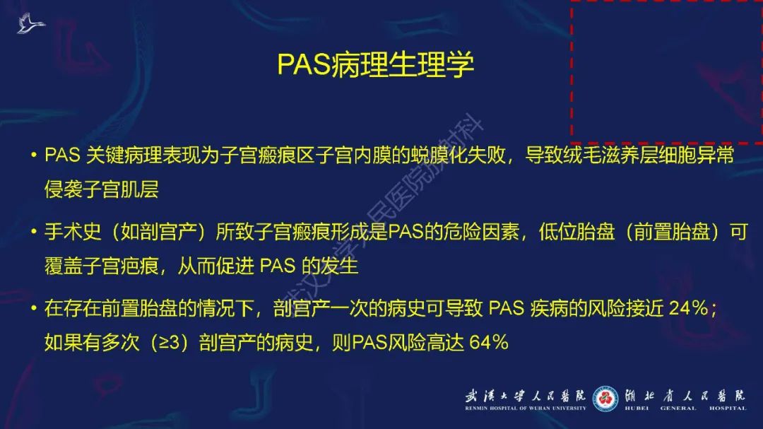 影像PPT - 【PPT】胎盘植入性疾病MRI诊断-12