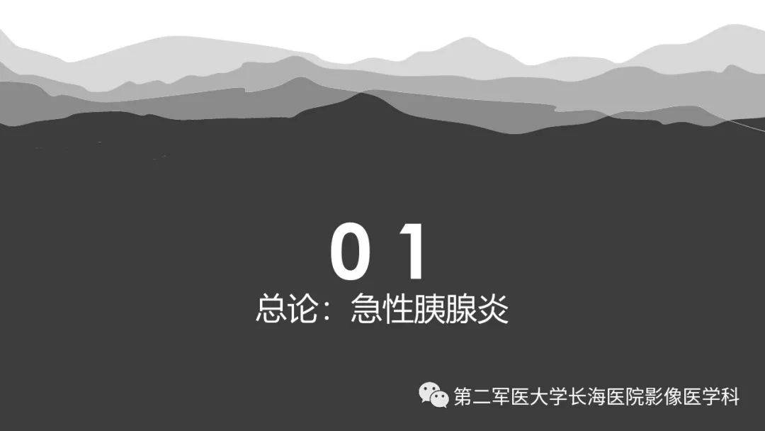 影像PPT - 【PPT】坏死性急性胰腺炎的影像，诊断，治疗-2