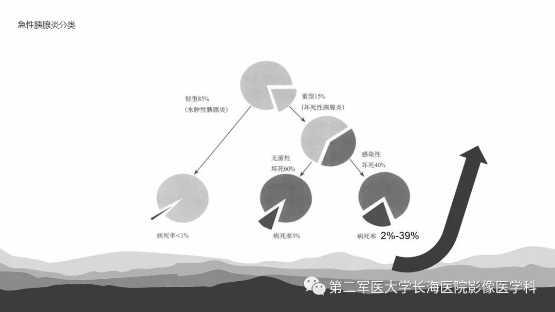 影像PPT - 【PPT】坏死性急性胰腺炎的影像，诊断，治疗-6