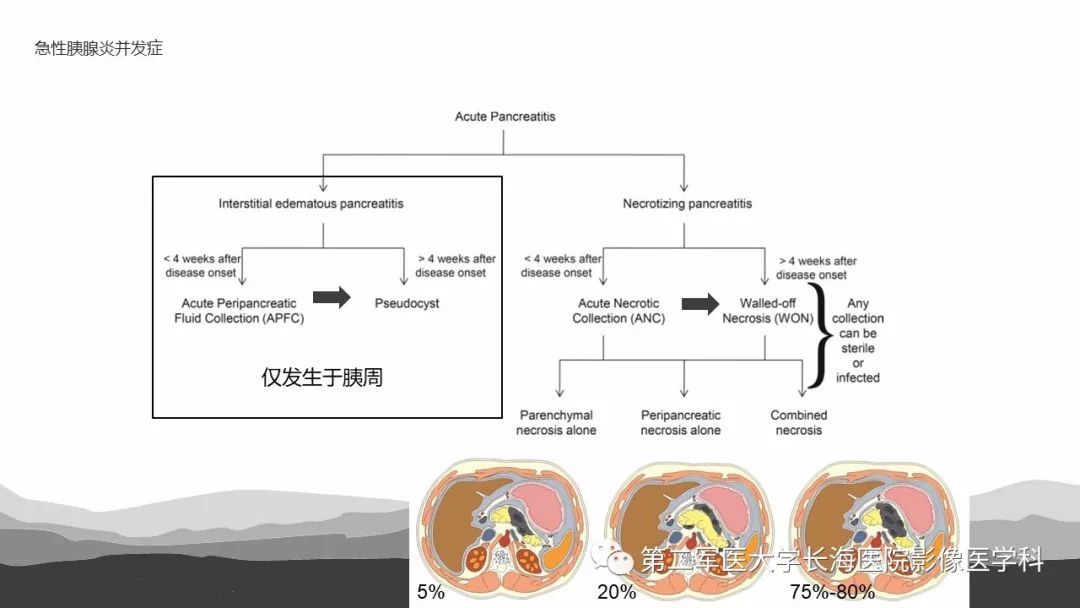 影像PPT - 【PPT】坏死性急性胰腺炎的影像，诊断，治疗-8