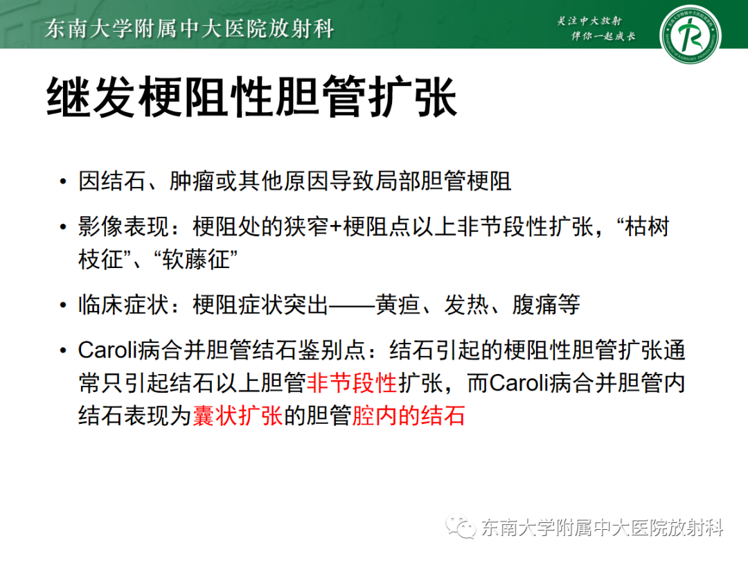 影像PPT - 【PPT】Caroli病-27 影像PPT - 【PPT】Caroli病-27