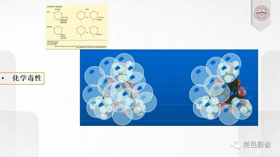 影像PPT - 【PPT】碘对比剂的应用及风险与处理-11