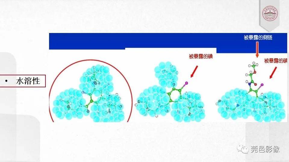 影像PPT - 【PPT】碘对比剂的应用及风险与处理-12
