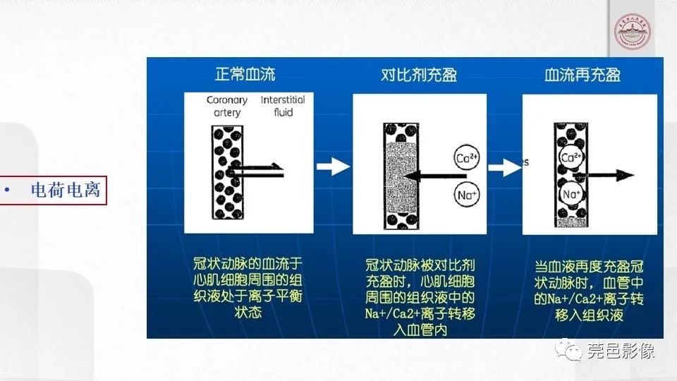 影像PPT - 【PPT】碘对比剂的应用及风险与处理-13