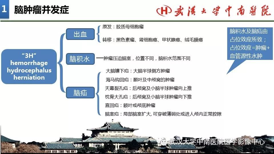 影像PPT - 【PPT】局灶性脑部病变影像诊断-5