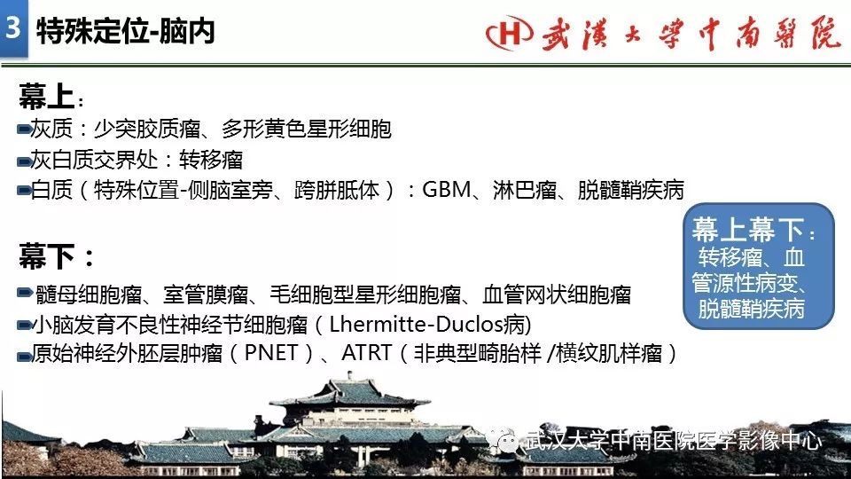 影像PPT - 【PPT】局灶性脑部病变影像诊断-14