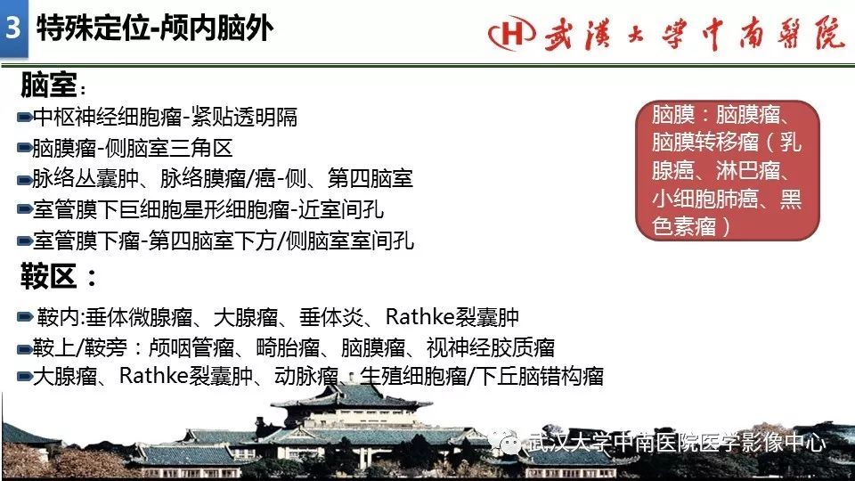 影像PPT - 【PPT】局灶性脑部病变影像诊断-19