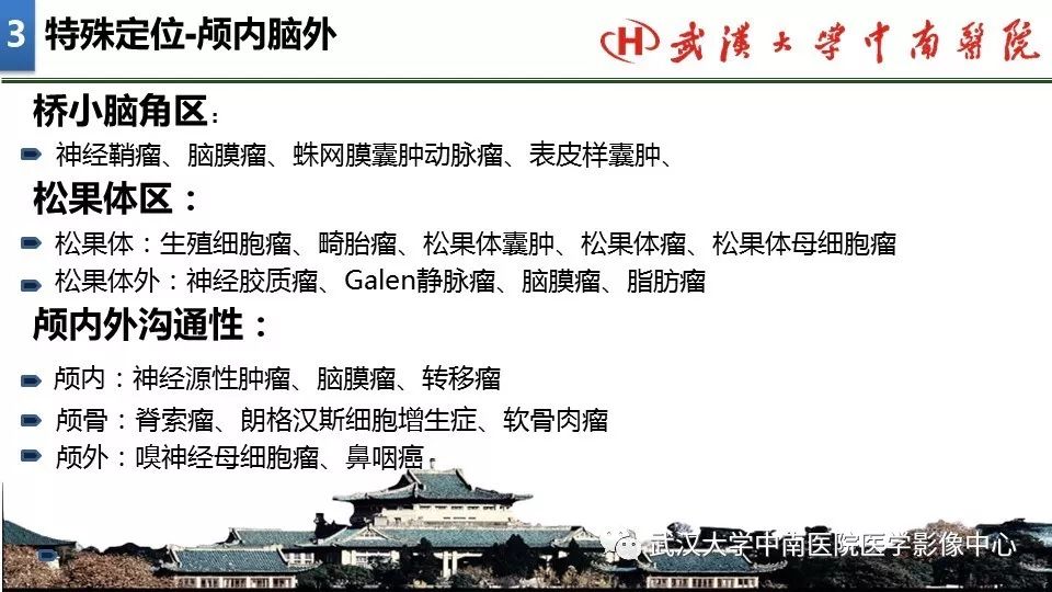 影像PPT - 【PPT】局灶性脑部病变影像诊断-23