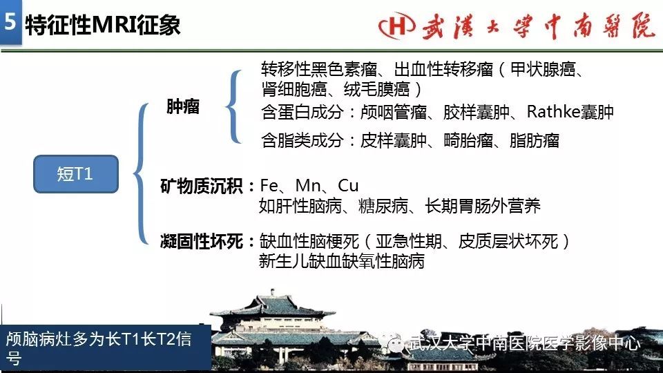 影像PPT - 【PPT】局灶性脑部病变影像诊断-32