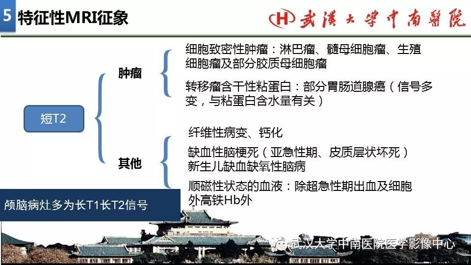 影像PPT - 【PPT】局灶性脑部病变影像诊断-34