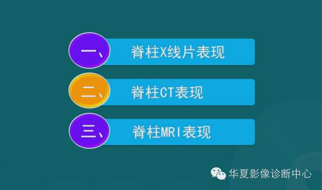 影像PPT - 史上最全断层解剖图谱-2