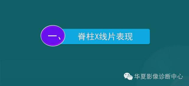 影像PPT - 史上最全断层解剖图谱-3