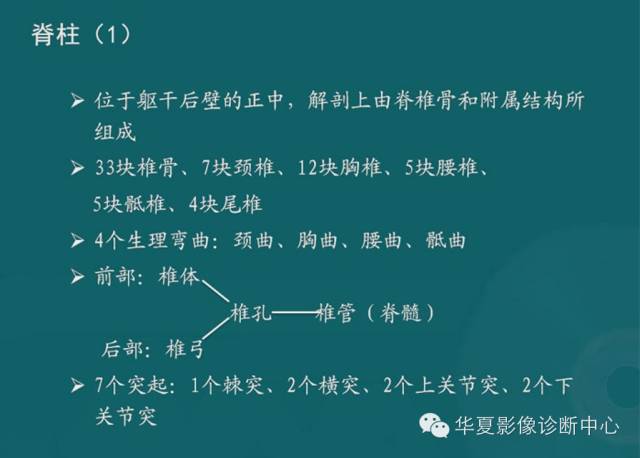 影像PPT - 史上最全断层解剖图谱-4