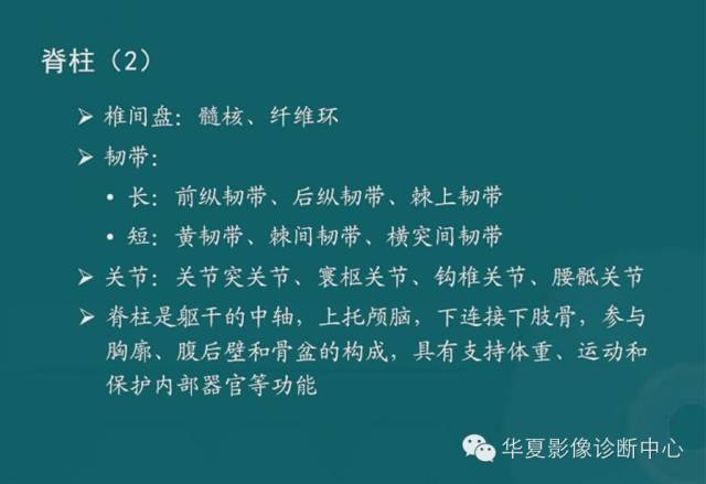 影像PPT - 史上最全断层解剖图谱-5