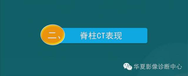 影像PPT - 史上最全断层解剖图谱-16