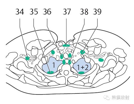 影像PPT - 史上最全断层解剖图谱-115