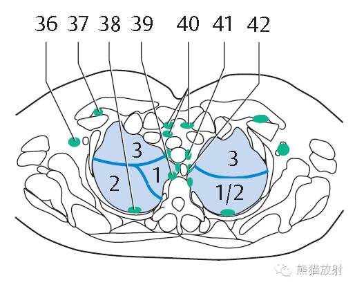 影像PPT - 史上最全断层解剖图谱-119