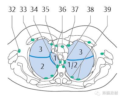 影像PPT - 史上最全断层解剖图谱-123