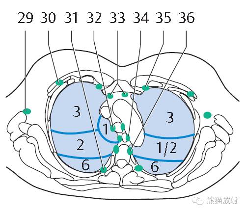 影像PPT - 史上最全断层解剖图谱-127