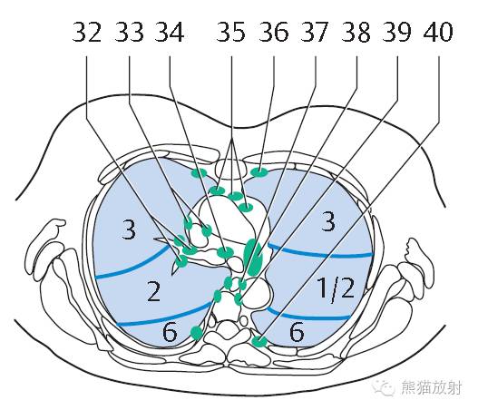 影像PPT - 史上最全断层解剖图谱-131