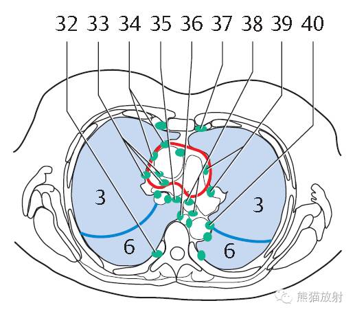 影像PPT - 史上最全断层解剖图谱-135