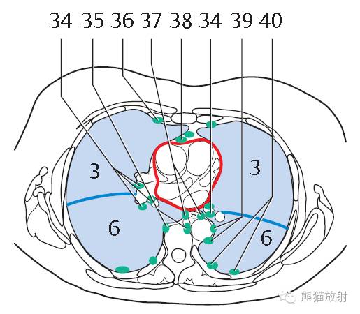 影像PPT - 史上最全断层解剖图谱-139