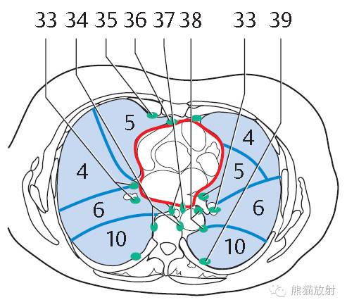 影像PPT - 史上最全断层解剖图谱-143