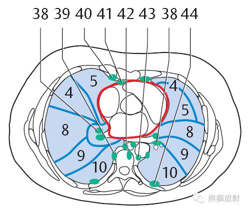 影像PPT - 史上最全断层解剖图谱-147