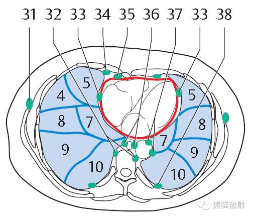 影像PPT - 史上最全断层解剖图谱-151