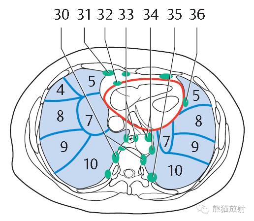 影像PPT - 史上最全断层解剖图谱-154