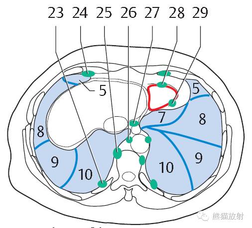 影像PPT - 史上最全断层解剖图谱-158