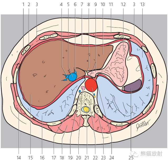 影像PPT - 史上最全断层解剖图谱-161
