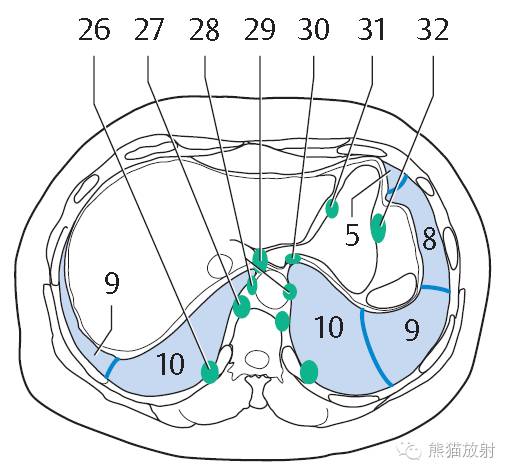 影像PPT - 史上最全断层解剖图谱-162