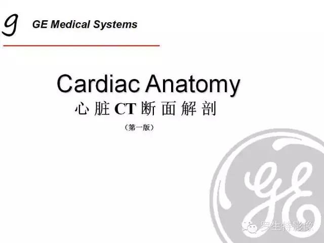 影像PPT - 史上最全断层解剖图谱-163