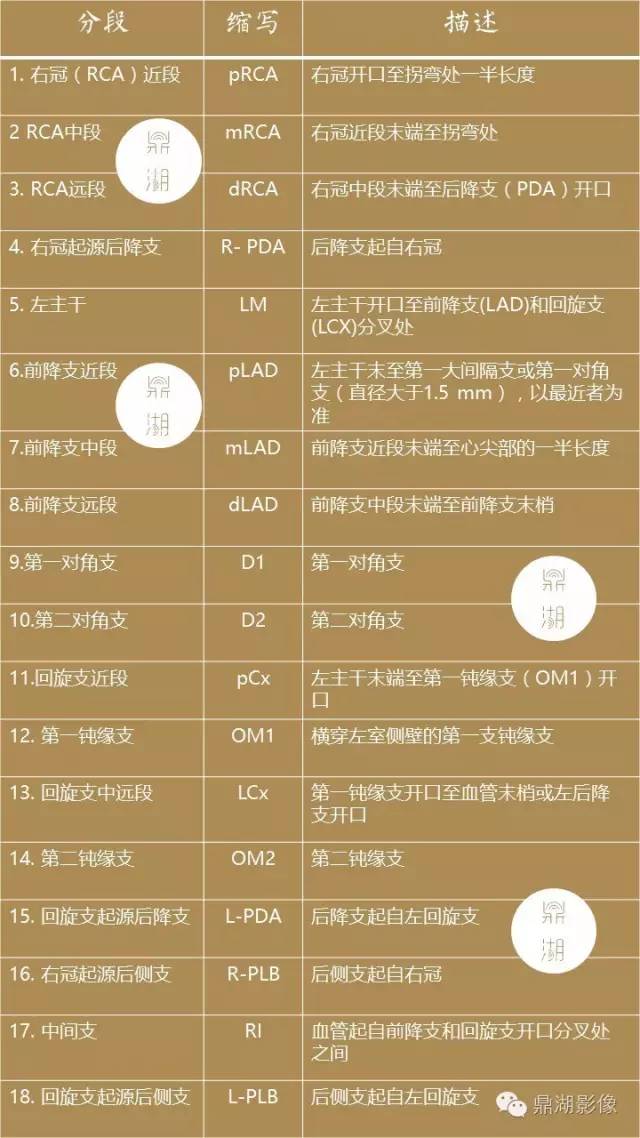影像PPT - 史上最全断层解剖图谱-183