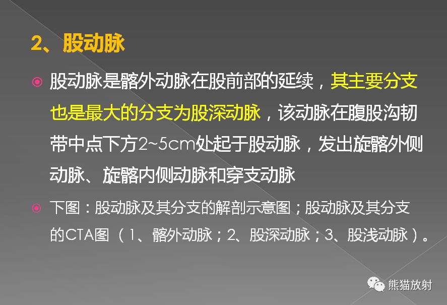 影像PPT - 史上最全断层解剖图谱-281