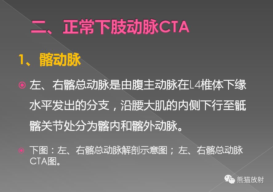 影像PPT - 史上最全断层解剖图谱-278