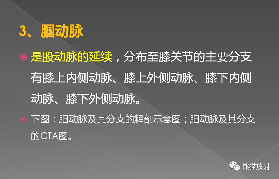 影像PPT - 史上最全断层解剖图谱-284