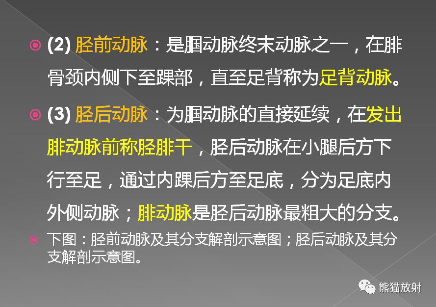 影像PPT - 史上最全断层解剖图谱-290