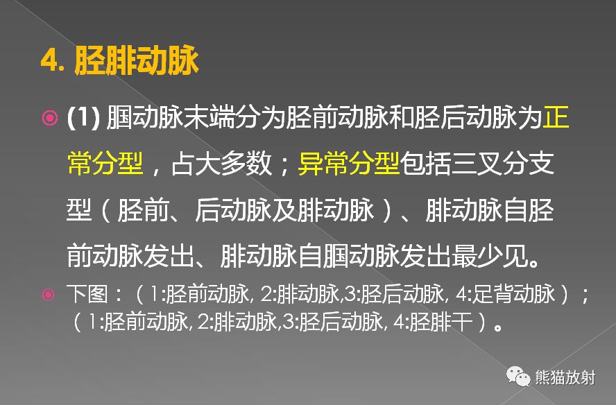 影像PPT - 史上最全断层解剖图谱-287