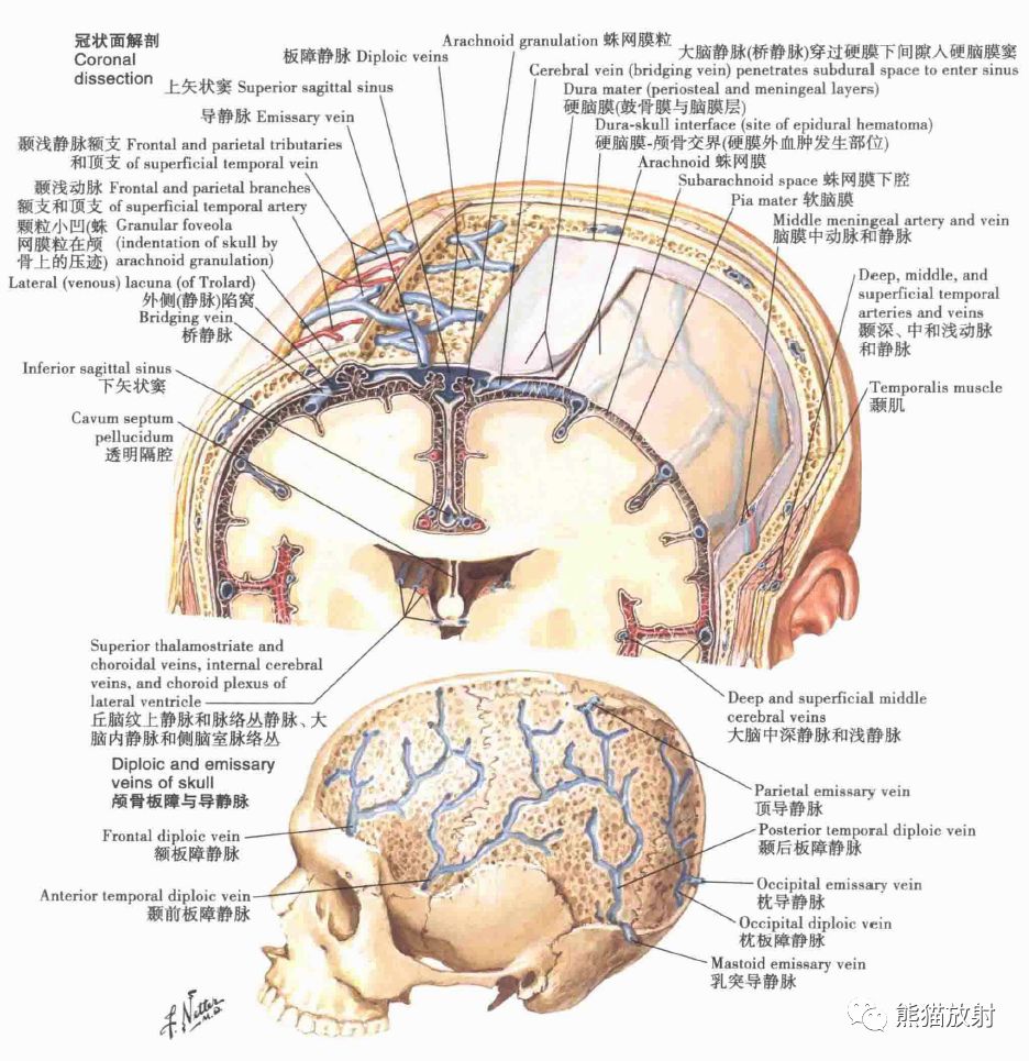 影像PPT - 脑膜解剖及其血供、硬脑膜静脉窦、MRV-1 影像PPT - 脑膜解剖及其血供、硬脑膜静脉窦、MRV-1